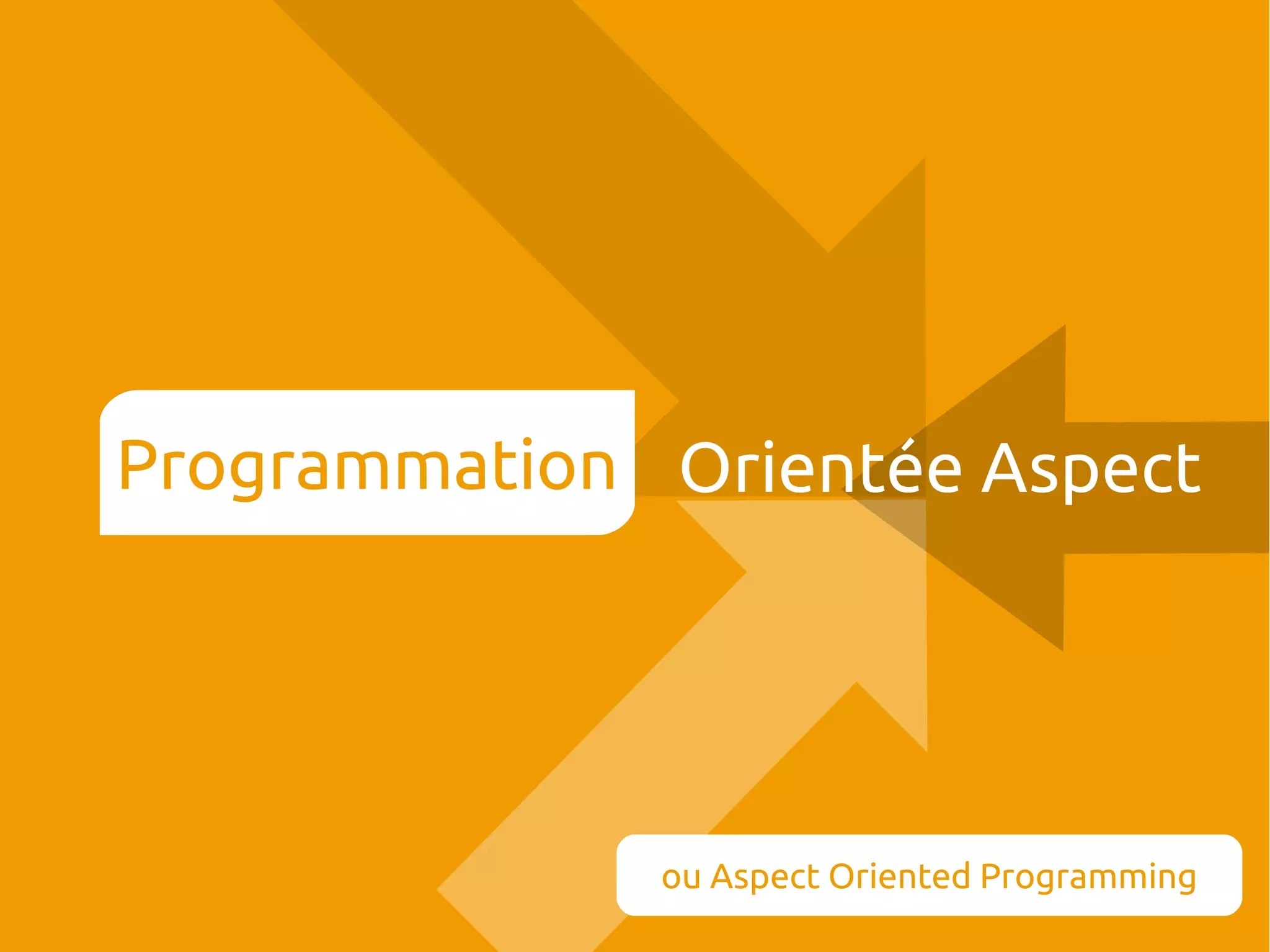 Programmation Orientée Aspect

ou Aspect Oriented Programming

 