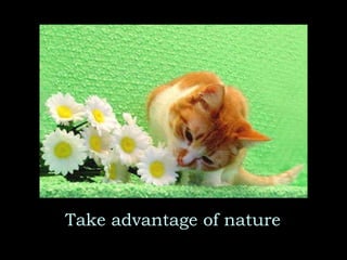 Take advantage of nature 