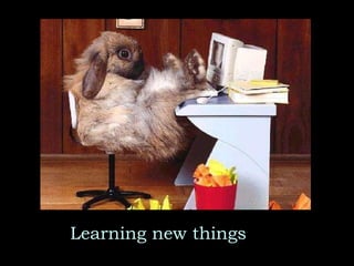 Learning new things 