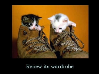 Renew its wardrobe 