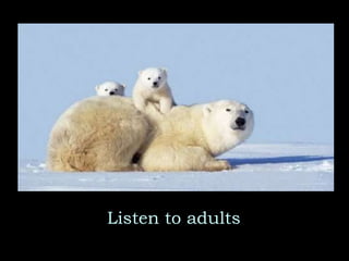 Listen to adults 