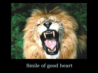 Smile of good heart 