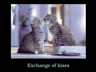 Exchange of kises 
