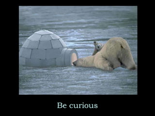 Be curious 