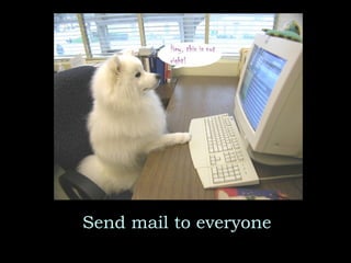 Send mail to everyone 