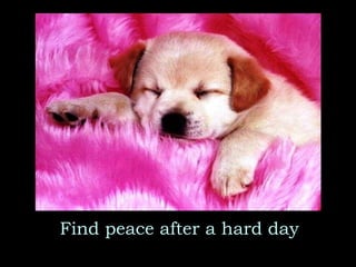 Find peace after a hard day 