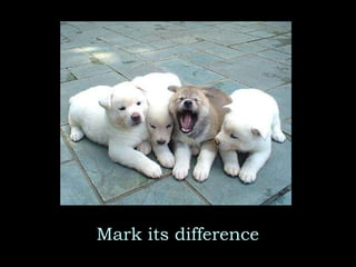 Mark its difference 