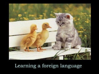 Learning a foreign language 