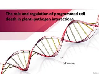 The role and regulation of programmed cell
death in plant–pathogen interactions
BY
M.Noman
 
