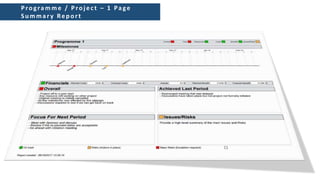 Programme / Proj ect – 1 Page
Su mmar y Rep ort
 