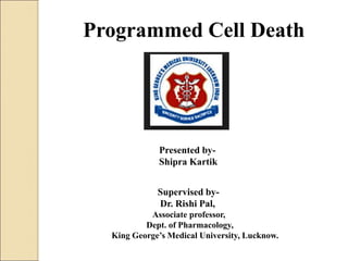 Programmed Cell Death
Presented by-
Shipra Kartik
Supervised by-
Dr. Rishi Pal,
Associate professor,
Dept. of Pharmacology,
King George’s Medical University, Lucknow.
 