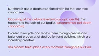 Programmed Cell Death (Apoptosis): Cellular Recycling and Life Cycle ...