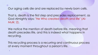 Programmed Cell Death (Apoptosis): Cellular Recycling and Life Cycle ...