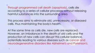 Programmed Cell Death (Apoptosis): Cellular Recycling and Life Cycle ...