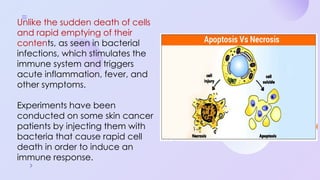 Programmed Cell Death (Apoptosis): Cellular Recycling and Life Cycle ...