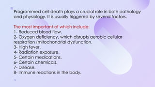 Programmed Cell Death (Apoptosis): Cellular Recycling and Life Cycle ...