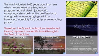 Programmed Cell Death (Apoptosis): Cellular Recycling and Life Cycle ...