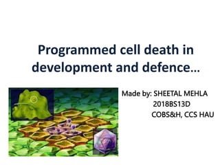 Programmed cell death in
development and defence...
Made by: SHEETAL MEHLA
2018BS13D
COBS&H, CCS HAU
 