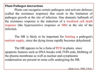 10/09/13 28
Plant-Pathogen interactions
Plants can recognize certain pathogens and activate defenses
(called the resistance response) that result in the limitation of
pathogen growth at the site of infection. One dramatic hallmark of
the resistance response is the induction of a localized cell death
response (the hypersensitive response or HR) at the site of the
infection.
The HR is likely to be important for limiting a pathogen's
nutrient supply, since the dying tissue rapidly becomes dehydrated.
The HR appears to be a form of PCD in plants. since
apoptotic features such as DNA breaks with 3'OH ends, blebbing of
the plasma membrane as well as nuclear and cytoplasmic
condensation are present in some cells undergoing the HR.
(Jean et al., 1996, USA)
 