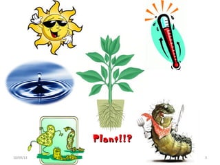 Plant!!?Plant!!?
310/09/13
 