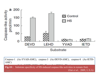Caspase-1 (Ac-YVAD-AMC), caspase-3 (Ac-DEVD-AMC), caspase-8 (Ac-IETD-
AMC)
and caspase-9 (Ac-LEHD-AMC) , HS - Treated at 45°C for 20 min,
Fig-10 : Substrate specificity of HS-induced caspase-like activities in tomato fruit.
(Gui et al., 2009, U.S.A)10/09/13
 