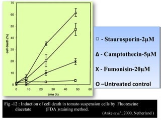 Fig -12 : Induction of cell death in tomato suspension cells by Fluorescine
diacetate (FDA )staining method.
□ - Staurosporin-2µM
∆ - Camptothecin-5µM
X - Fumonisin-20µM
O –Untreated control
□ - Staurosporin-2µM
∆ - Camptothecin-5µM
X - Fumonisin-20µM
O –Untreated control
(Anke et al., 2000, Netherland )
 