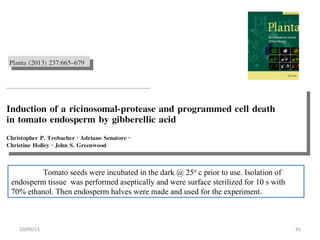 4110/09/13
Tomato seeds were incubated in the dark @ 250
c prior to use. Isolation of
endosperm tissue was performed aseptically and were surface sterilized for 10 s with
70% ethanol. Then endosperm halves were made and used for the experiment.
 