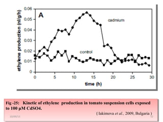 Fig -25: Kinetic of ethylene production in tomato suspension cells exposed
to 100 μM CdSO4.
( Iakimova et al., 2009, Bulgaria )
Fig -25: Kinetic of ethylene production in tomato suspension cells exposed
to 100 μM CdSO4.
( Iakimova et al., 2009, Bulgaria )
5210/09/13
 