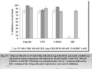 Fig -27 : Effect of 100 nM Ac-YVAD-CMK, 100 nM Z-Asp-CH2-DCB and 1mM (AEBSF) on
cell death in tomato suspension cells induced by 20 μM FumB1, 5 μM CPT, 100 μM
CdSO4 or 5 μM MP. Cell death was calculated after 24 h of treatment followed by
FDA staining of the living cells and is expressed as per cent of inhibition.
Fig -27 : Effect of 100 nM Ac-YVAD-CMK, 100 nM Z-Asp-CH2-DCB and 1mM (AEBSF) on
cell death in tomato suspension cells induced by 20 μM FumB1, 5 μM CPT, 100 μM
CdSO4 or 5 μM MP. Cell death was calculated after 24 h of treatment followed by
FDA staining of the living cells and is expressed as per cent of inhibition.
5510/09/13
 