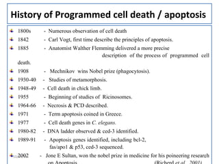 History of Programmed cell death / apoptosis
1800s - Numerous observation of cell death
1842 - Carl Vogt, first time describe the principles of apoptosis.
1885 - Anatomist Walther Flemming delivered a more precise
description of the process of programmed cell
death.
1908 - Mechnikov wins Nobel prize (phagocytosis).
1930-40 - Studies of metamorphosis.
1948-49 - Cell death in chick limb.
1955 - Beginning of studies of Ricinosomes.
1964-66 - Necrosis & PCD described.
1971 - Term apoptosis coined in Greece.
1977 - Cell death genes in C. elegans.
1980-82 - DNA ladder observed & ced-3 identified.
1989-91 - Apoptosis genes identified, including bcl-2,
fas/apo1 & p53, ced-3 sequenced.
2002 - Jone E Sultan, won the nobel prize in medicine for his poineering research810/09/13
 