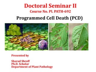 Doctoral Seminar II
Course No. Pl. PATH-692
Programmed Cell Death (PCD)
Presented by
Sharad Shroff
Ph.D. Scholar
Department of Plant Pathology
 