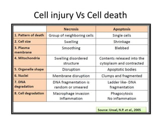Cell injury Vs Cell death
 