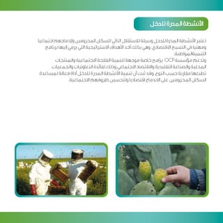 Programme developpement citoyen v arab 