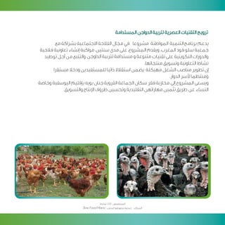 Programme developpement citoyen v arab 