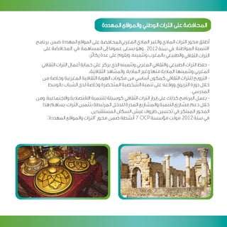 Programme developpement citoyen v arab 