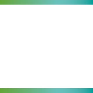 Programme developpement citoyen v arab 