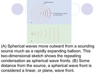 (A) Spherical waves move outward from a sounding
source much as a rapidly expanding balloon. This
two-dimensional sketch shows the repeating
condensation as spherical wave fronts. (B) Some
distance from the source, a spherical wave front is
considered a linear, or plane, wave front.
 
