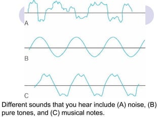 Different sounds that you hear include (A) noise, (B)
pure tones, and (C) musical notes.
 