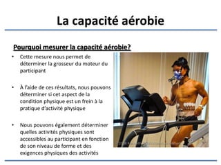 La capacité aérobie Pourquoi mesurer la capacité aérobie? Cette mesure nous permet de déterminer la puissance du cœur du participant À l’aide de ces résultats, nous pouvons déterminer si cet aspect de la condition physique est un frein à la pratique d’activité physique Nous pouvons également déterminer quelles activités physiques sont accessibles au participant en fonction de son niveau de condition physique et des exigences des activités  