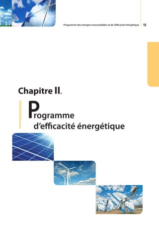 Programme des énergies renouvelables et de l’efficacité énergétique   13




Chapitre II.

  P rogramme
    d’efficacité énergétique
 