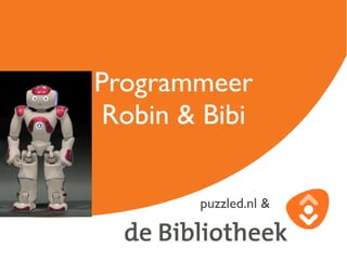 Programmeer
Robin & Bibi
puzzled.nl &
 