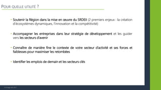 © Vertigo Lab, 2017
POUR QUELLE UTILITÉ ?
• Soutenir la Région dans la mise en œuvre du SRDEII (2 premiers enjeux : la création
d’écosystèmes dynamiques, l’innovation et la compétitivité)
• Accompagner les entreprises dans leur stratégie de développement et les guider
vers les secteurs d’avenir
• Connaître de manière fine le contexte de votre secteur d’activité et ses forces et
faiblesses pour maximiser les retombées
• Identifier les emplois de demain et les secteurs clés
 