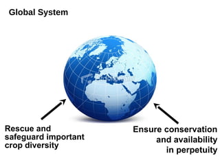 Global System




Rescue and            Ensure conservation
safeguard important        and availability
crop diversity
                             in perpetuity
 