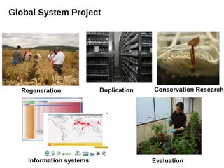 Global System Project




  Regeneration            Duplication   Conservation Research




    Information systems                 Evaluation
 
