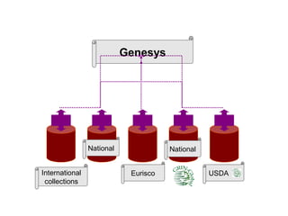 Genesys




                National              National


International               Eurisco              USDA
 collections
 