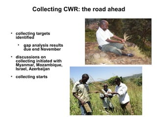 Collecting CWR: the road ahead


• collecting targets
  identified
   •   gap analysis results
       due end November
• discussions on
  collecting initiated with
  Myanmar, Mozambique,
  Israel, Azerbaijan
• collecting starts
 