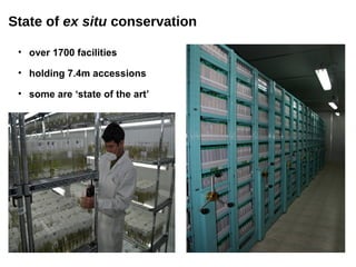 State of ex situ conservation

 • over 1700 facilities

 • holding 7.4m accessions

 • some are ‘state of the art’
 