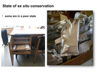 State of ex situ conservation

• some are in a poor state
 