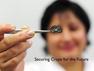 Securing Crops for the Future
 