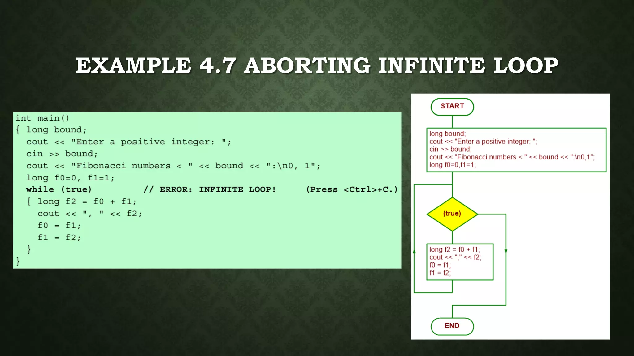 EXAMPLE 4.7 ABORTING INFINITE LOOP
 
